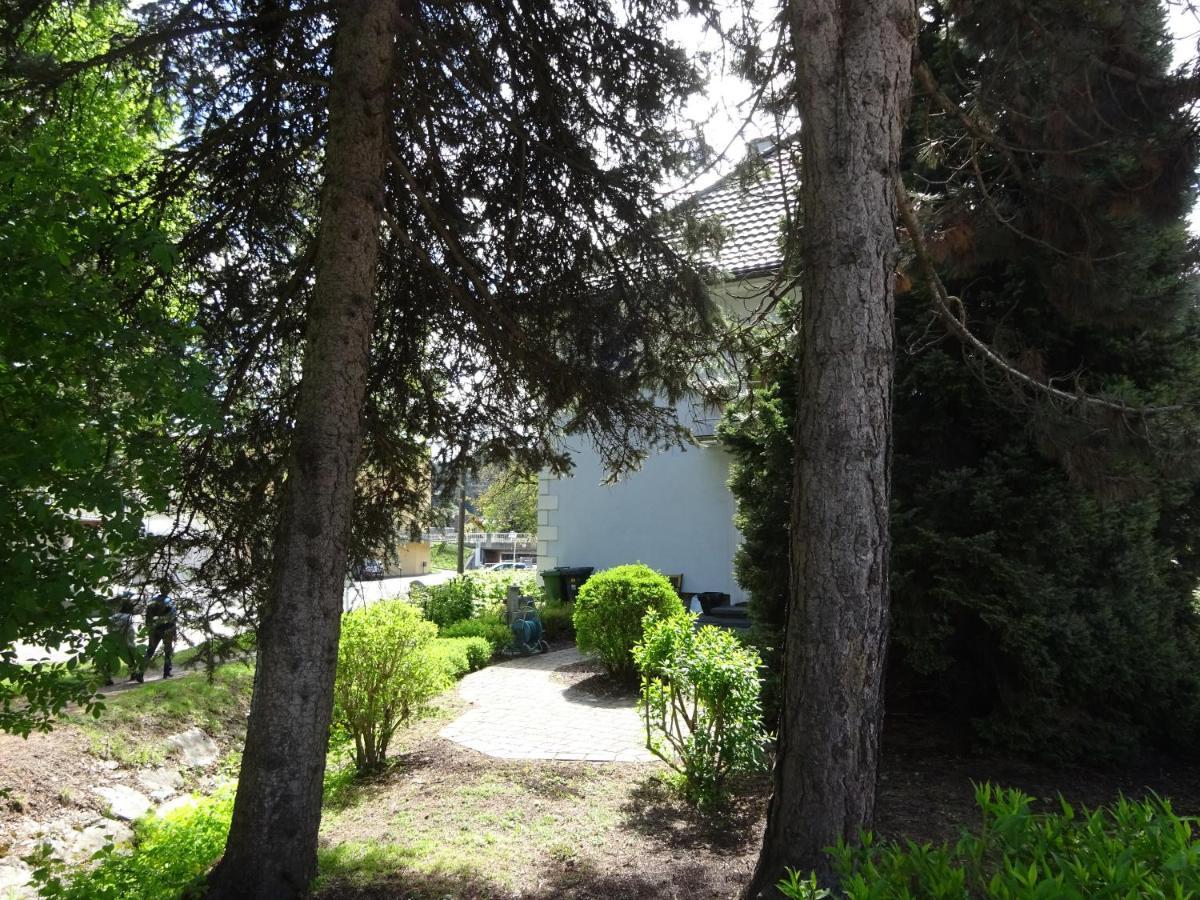 Wulfenia Apartments Hermagor-Pressegger See Exterior photo